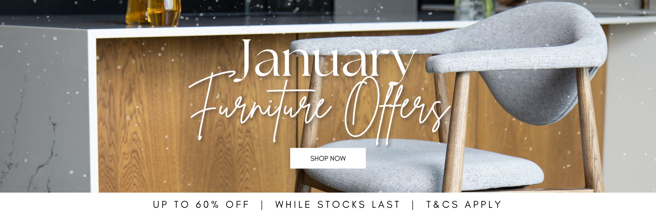 January Sale